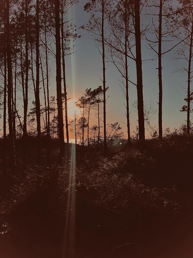 Baltico Domki Letniskowe Sarbinowo Exterior foto